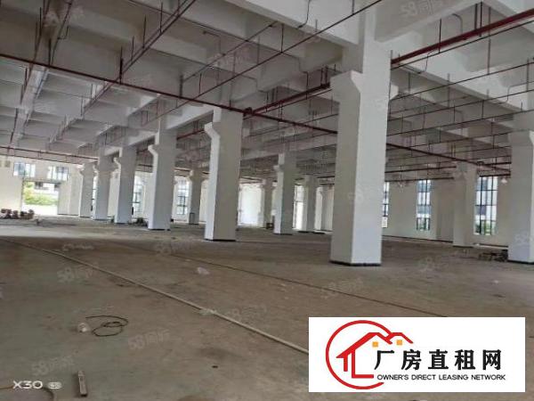  大岭山原房东新建独门独院6层三万平方，宿舍8层五千