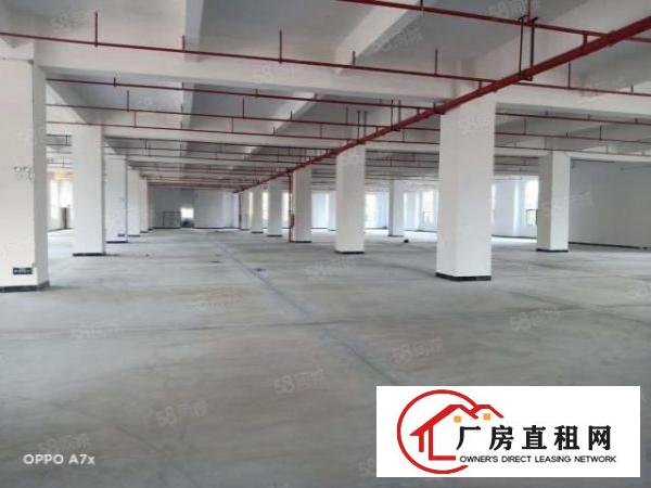  大岭山原房东新建18万每层3000，非水源保护区，可办环评！
