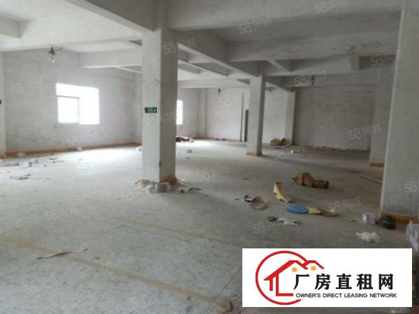  大岭山新空原房东独院两层带装修办公室厂房出租