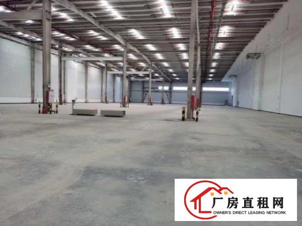  原房东1000平大空地污染带卸货平台独院单一层钢构厂房出租