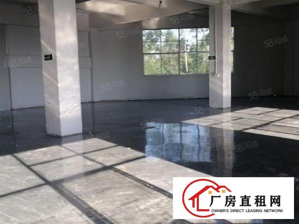  大岭山杨屋精装修600平方厂房有现成地坪漆白菜价出租