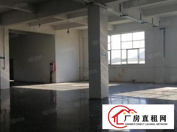  大岭山杨屋精装修600平方厂房有现成地坪漆白菜价出租