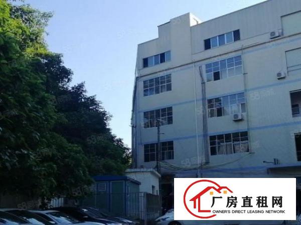  大岭山杨屋精装修600平方厂房有现成地坪漆白菜价出租