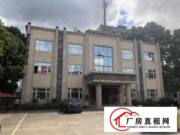  大岭山大片美工业区独立办公楼1100平米招租，豪华装修