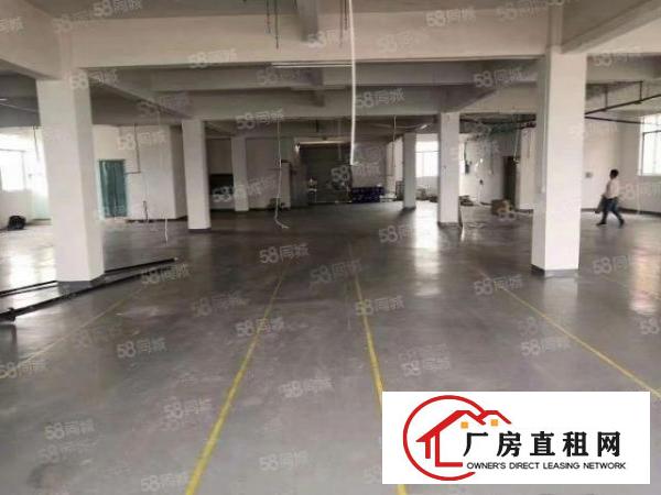  出租|大岭山新塘村新出原房东独门独院3620平米厂房招租