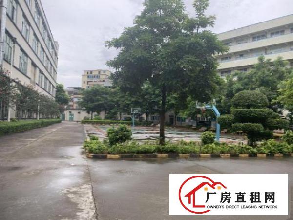  松山湖旁新出2000平精装修带办公室无尘车间工业园厂房出租