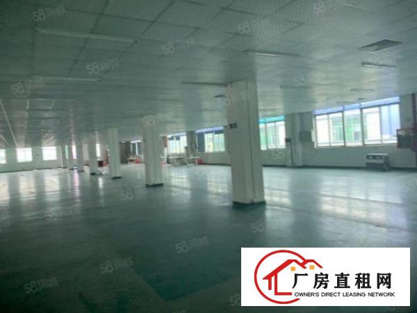  松山湖旁新出2000平精装修带办公室无尘车间工业园厂房出租