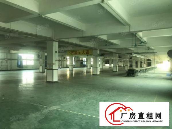  大岭山花园式独门独院多层厂房出租13000平，含宿舍，可环坪