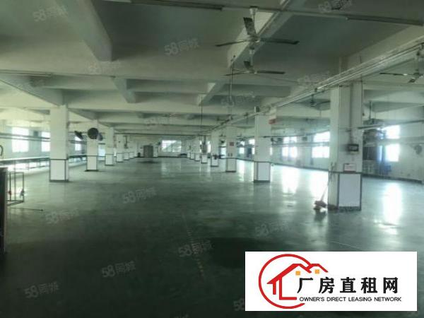  大岭山花园式独门独院多层厂房出租13000平，含宿舍，可环坪