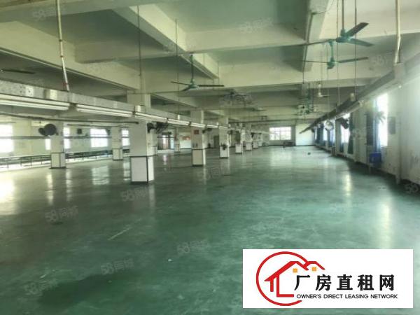  大岭山花园式独门独院多层厂房出租13000平，含宿舍，可环坪