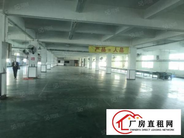  大岭山花园式独门独院多层厂房出租13000平，含宿舍，可环坪