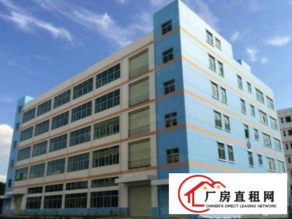  靓盘！大岭山杨屋科技园新出3楼1000平厂房出租带消防喷淋