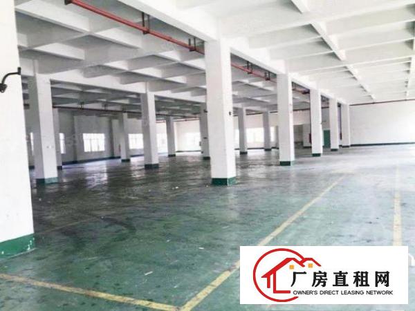  靓盘！大岭山杨屋科技园新出3楼1000平厂房出租带消防喷淋