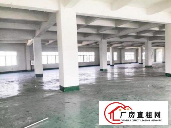  靓盘！大岭山杨屋科技园新出3楼1000平厂房出租带消防喷淋