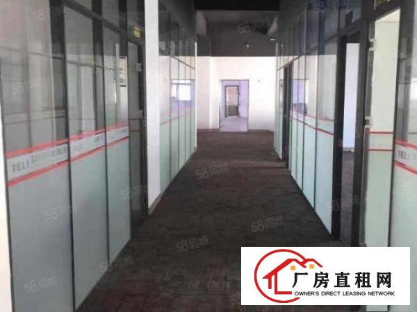  靓盘！大岭山杨屋科技园新出3楼1000平厂房出租带消防喷淋