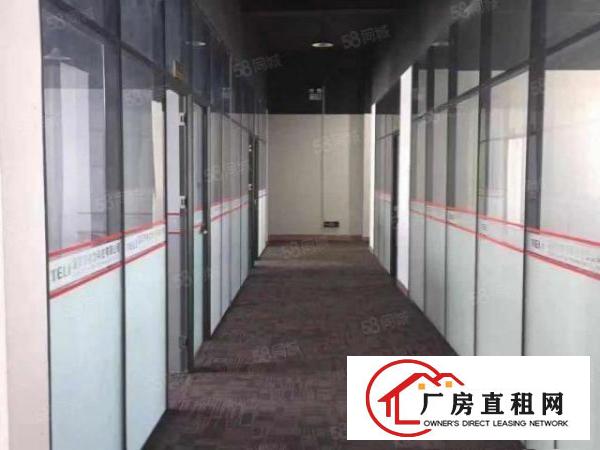  靓盘！大岭山杨屋科技园新出3楼1000平厂房出租带消防喷淋