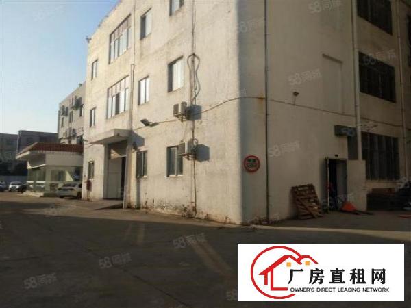  大岭山杨屋标准厂房楼上1200平出租仅13元可分租