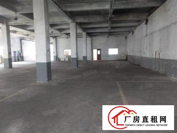  大岭山杨屋标准厂房楼上1200平出租仅13元可分租