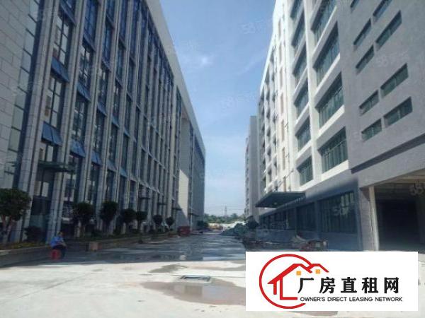  大岭山工业园新出1650平方证件齐全厂房出租