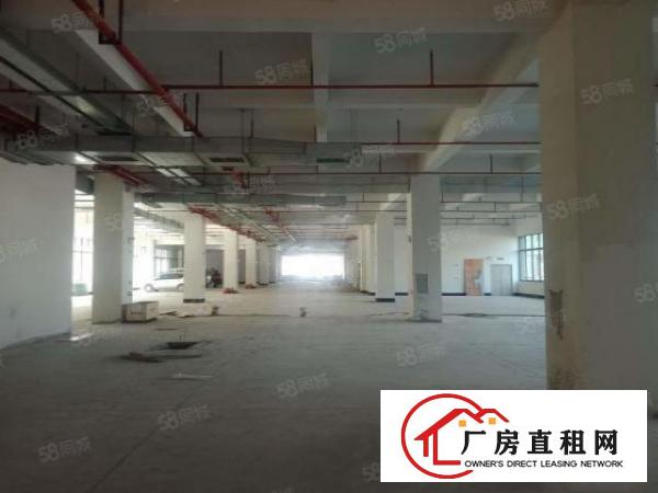  大岭山工业园新出1650平方证件齐全厂房出租