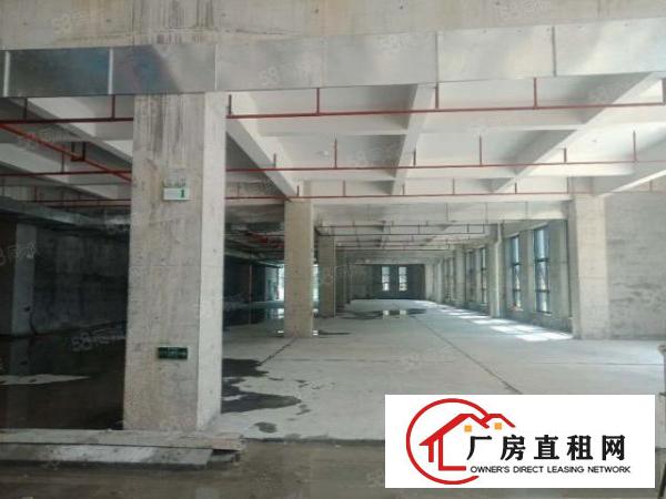  大岭山工业园新出1650平方证件齐全厂房出租