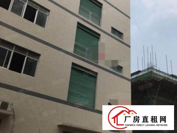  大岭山镇杨屋工业区原房东出租3楼1000平可分租有2部货梯