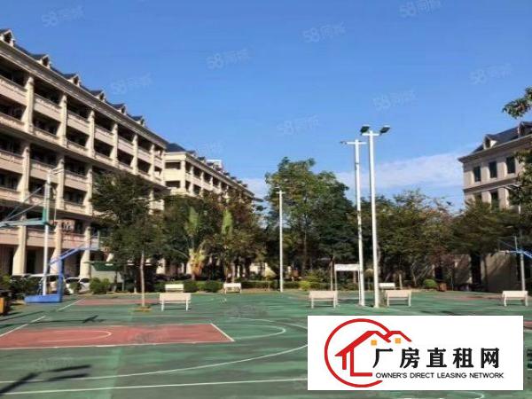  大岭山新空出欧式一楼4600厂房出租，带环评带装修可分租