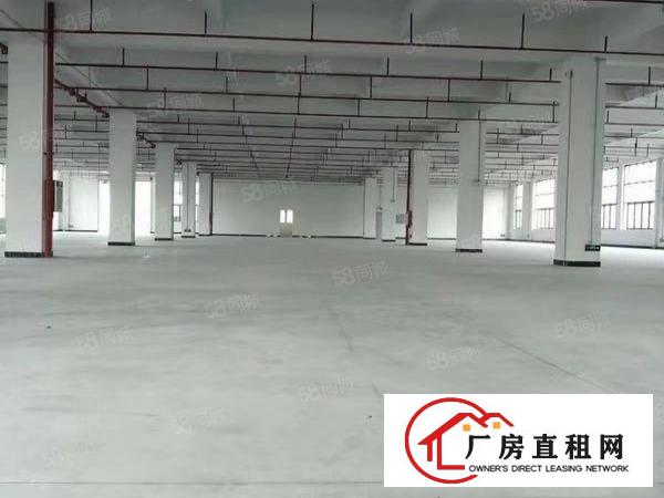  大岭山新空出欧式一楼4600厂房出租，带环评带装修可分租