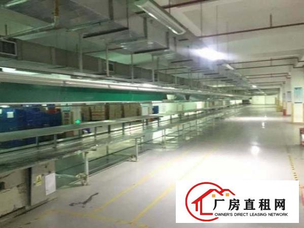  大朗镇各类型中小面积厂房出租