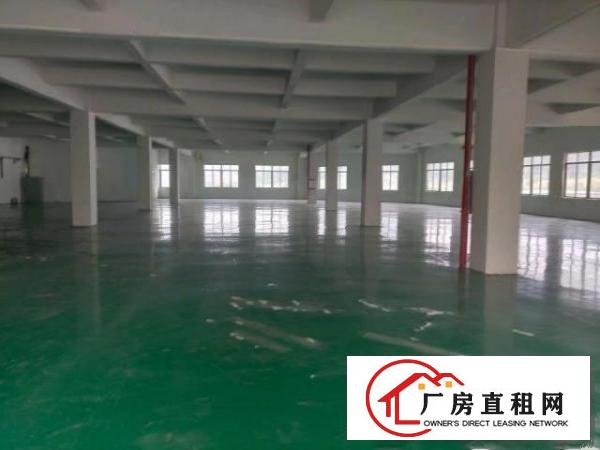  大朗镇各类型中小面积厂房出租