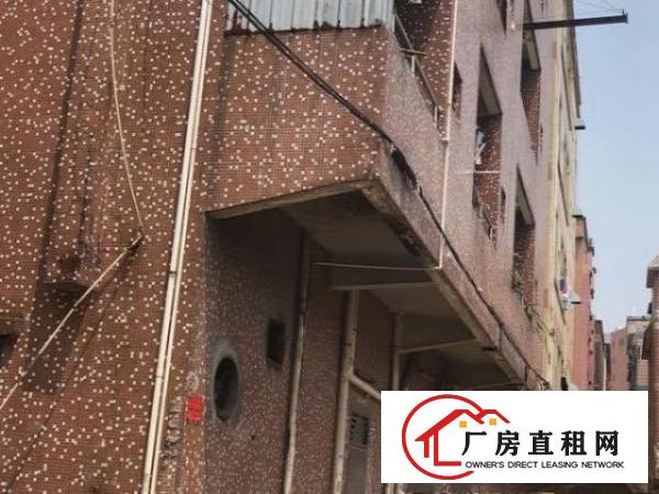  自建房大朗镇巷头沙埗头街8巷3号
