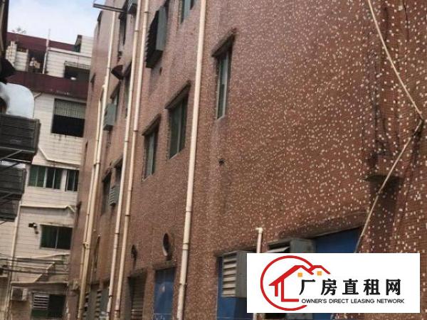  自建房大朗镇巷头沙埗头街8巷3号