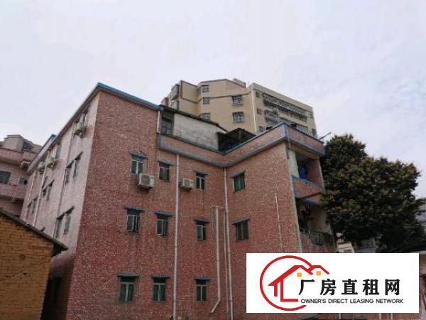  一手房东，150平方厂房，可分租