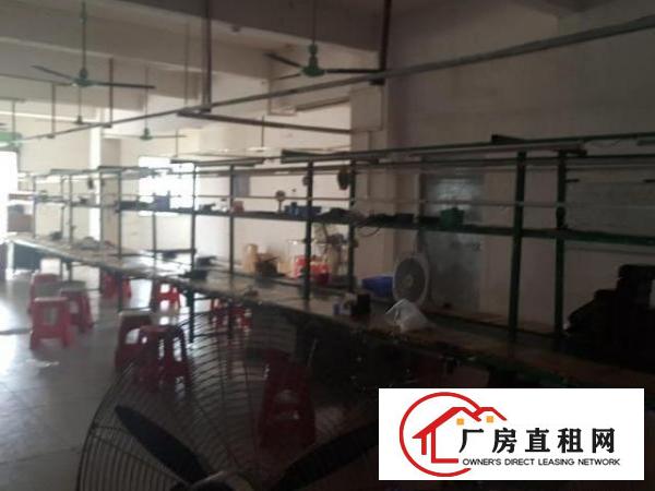  厂房出租，以前电子加工的有两条流水线