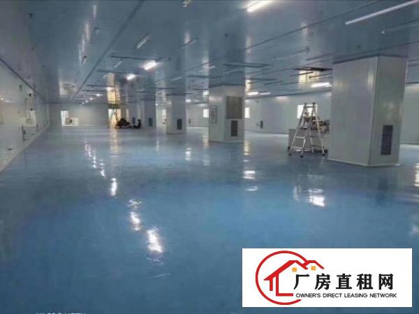  东莞市大朗镇一手房东工业厂房廉价招租