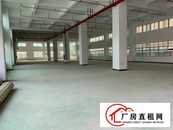  东莞市大朗镇一手房东工业厂房廉价招租