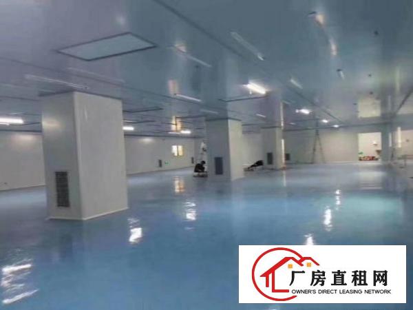 东莞市大朗镇一手房东工业厂房廉价招租