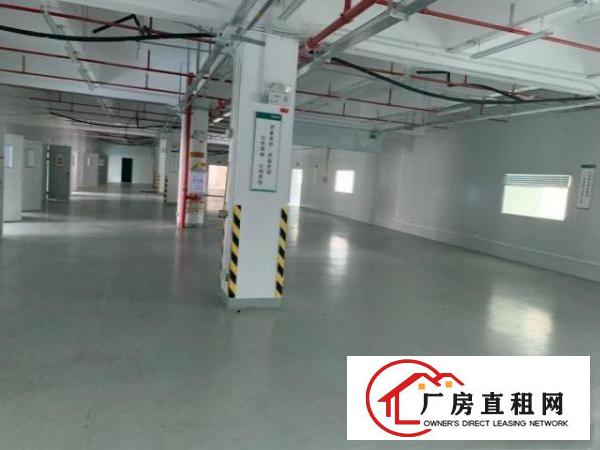  东莞市大朗镇一手房东工业厂房廉价招租