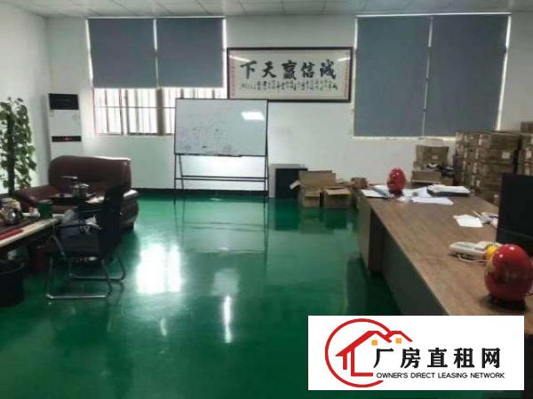  出租大朗镇洋乌标准工业园厂房1280平，带现成精装修，实图