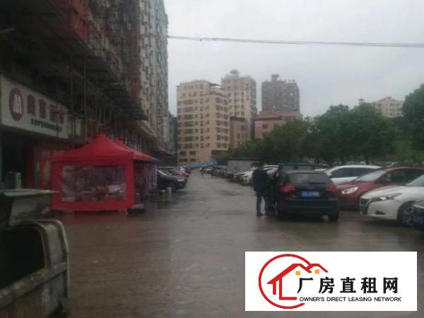  黎贝岭新出人流密集地区出租