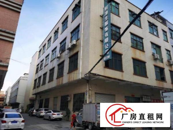  大朗镇高英葡萄塘路28号