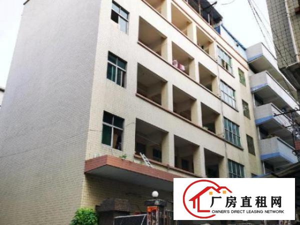  大朗镇高英葡萄塘路28号
