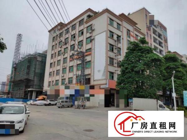  大朗富民中路独栋综合楼|三面环路电梯铺面宿舍办公齐全