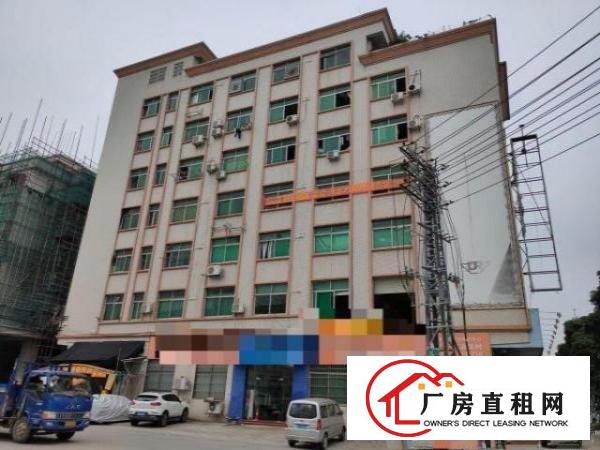  大朗富民中路独栋综合楼|三面环路电梯铺面宿舍办公齐全