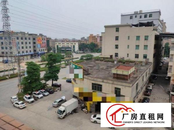  大朗富民中路独栋综合楼|三面环路电梯铺面宿舍办公齐全