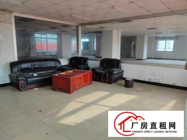  大朗富民中路独栋综合楼|三面环路电梯铺面宿舍办公齐全