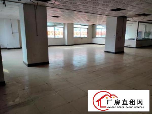  大朗富民中路独栋综合楼|三面环路电梯铺面宿舍办公齐全