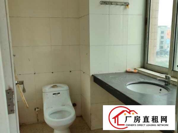  大朗富民中路独栋综合楼|三面环路电梯铺面宿舍办公齐全