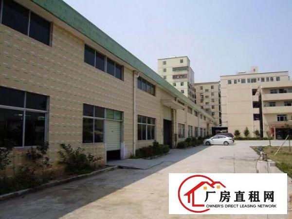  大朗水平村自用独院厂房招租出租分租，一楼滴水8米，交通便利