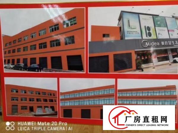 大朗长顺街新出精装新厂房